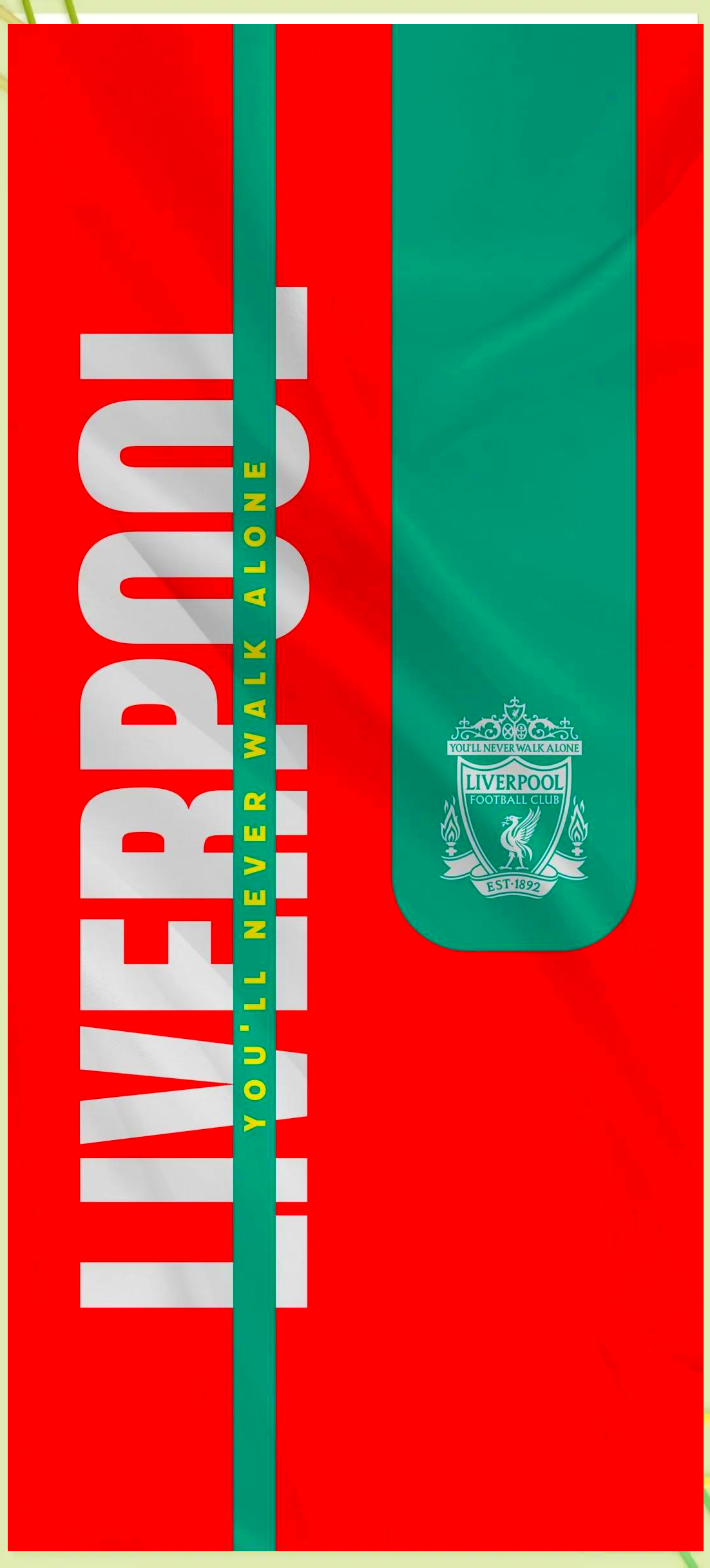 跟队：多特在与狼队谈法比奥-席尔瓦转会，预计本周将加速